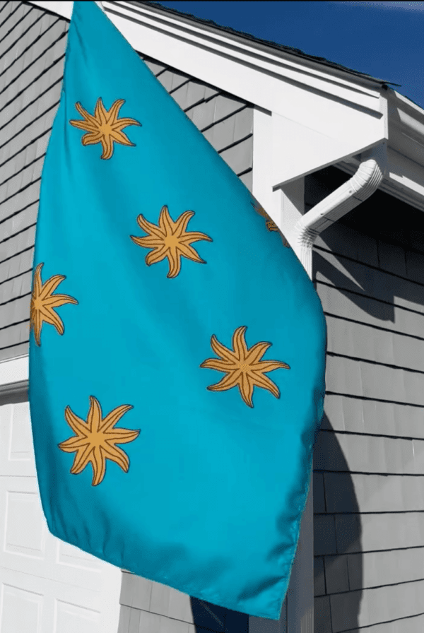Official Town of Portsmouth Flag